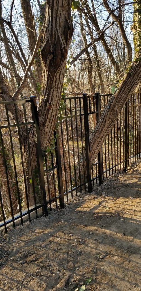 Amendola's Fence