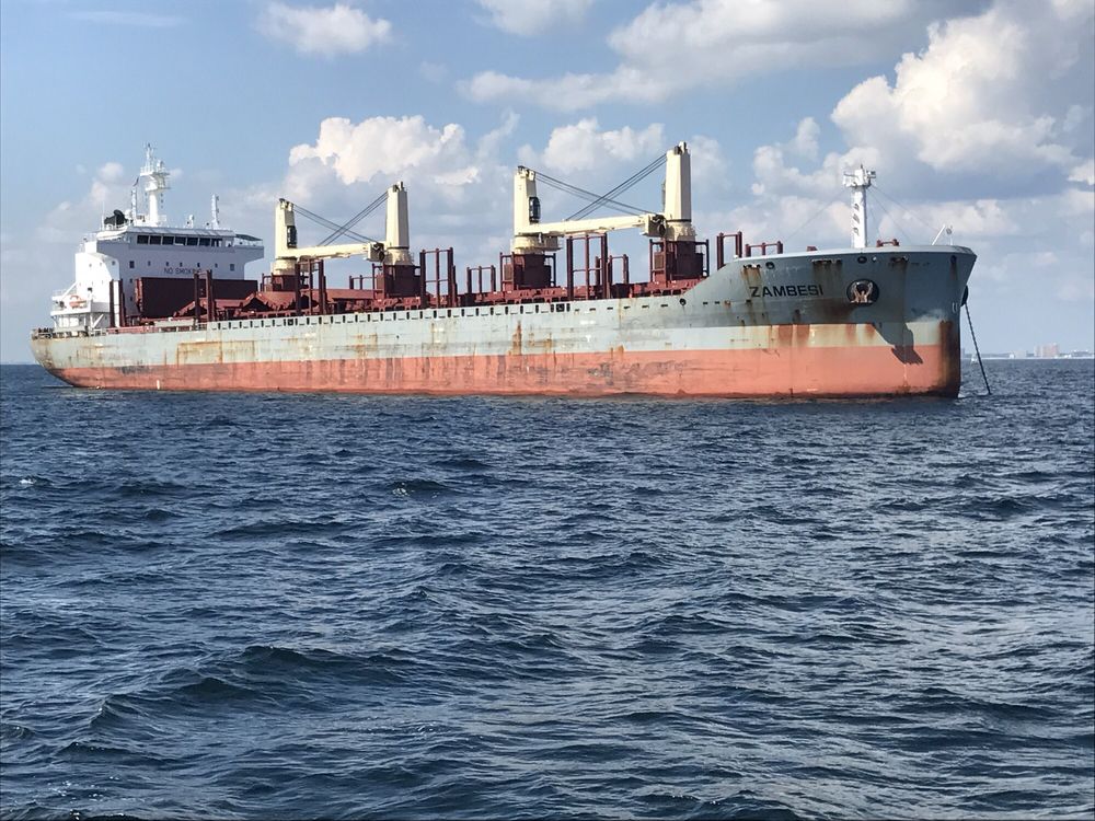 Panama City Diving Check Availability 34 Photos & 20 Reviews