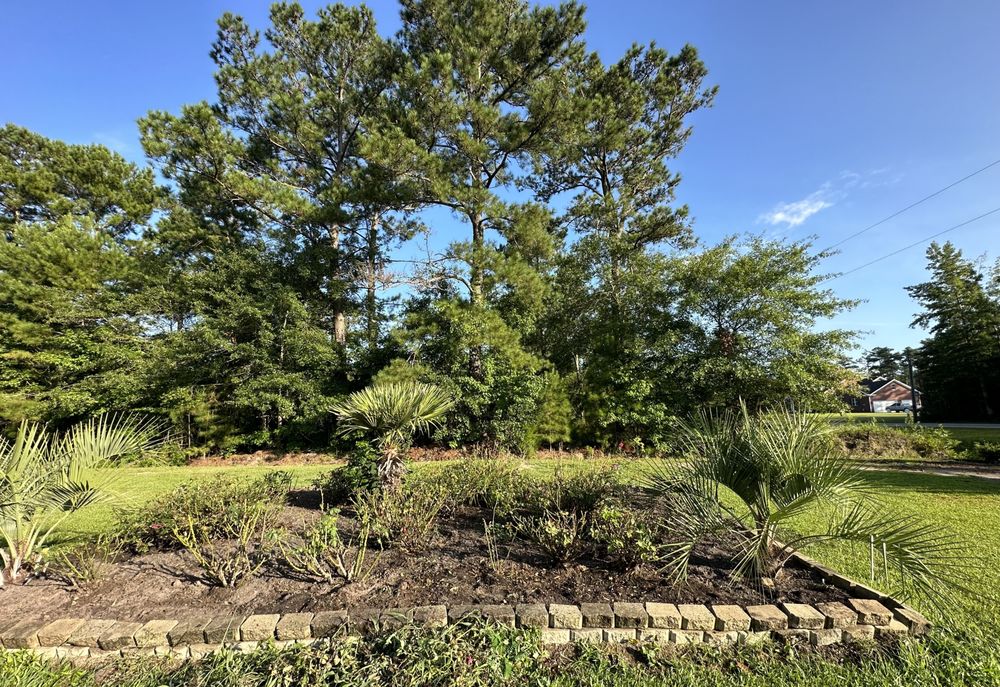 J & A Lawn Care & Tree Removal