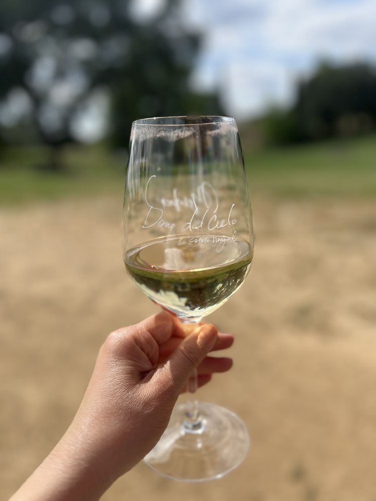 Dono dal Cielo An Estate Vineyard