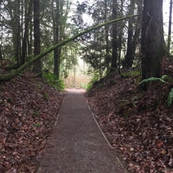 Cougar Mountain Regional Wildland - Ls