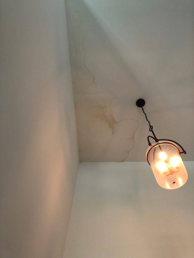 image of business The Mattus Company, Inc