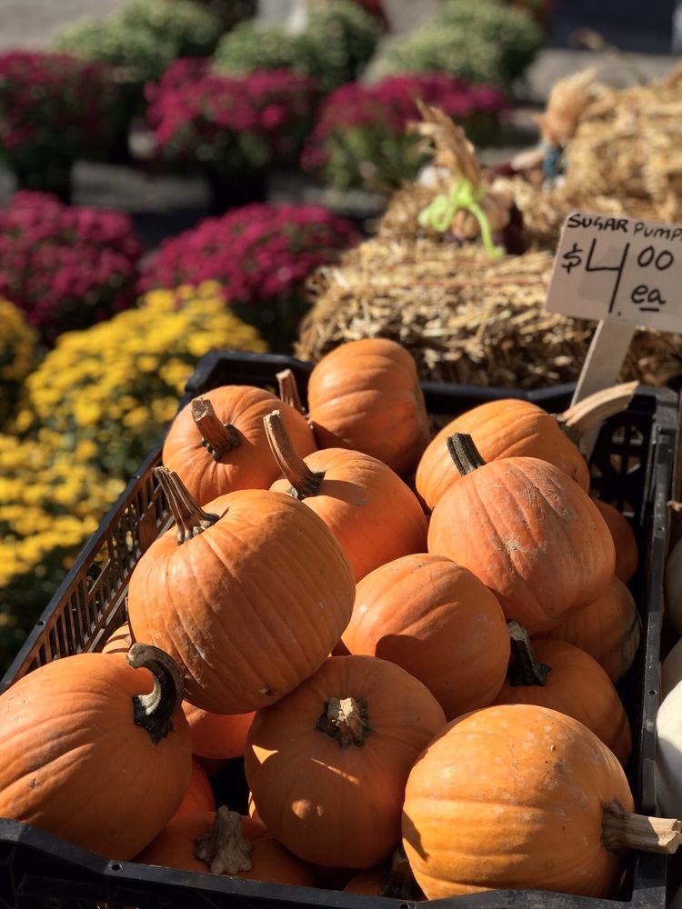 Union Square Greenmarket