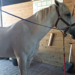 Majestic Riding Stables - CLOSED - Horseback Riding - 17825 Terra ... Majestic Riding Stables - CLOSED - Horseback Riding - 17825 Terra ...