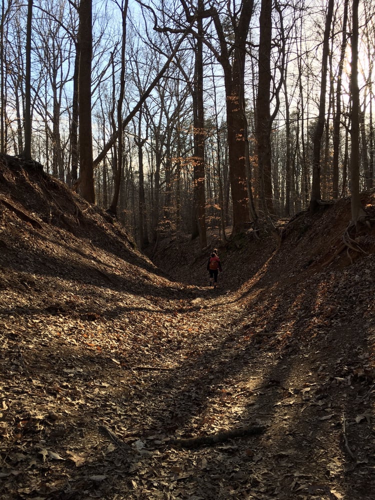 Hemlock Overlook Regional Park