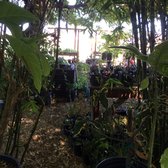 Ploughshares Nursery 39 Photos 45 Reviews Nurseries Photo Of Ploughshares Nursery Alameda Ca United States