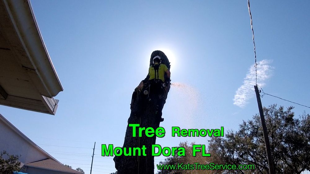 Kats Tree Service