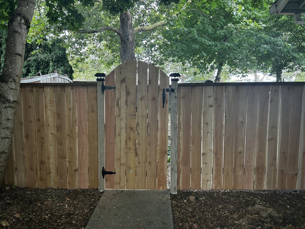 All American Land Maintenance and Handyman