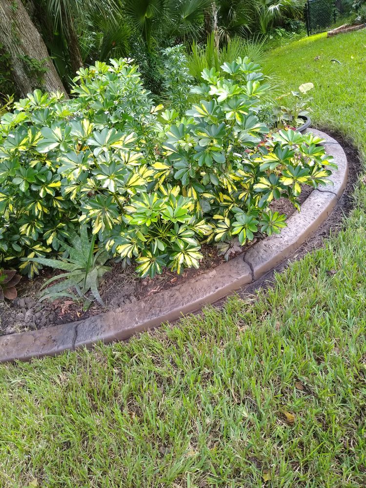 M&M Curbing and Landscaping