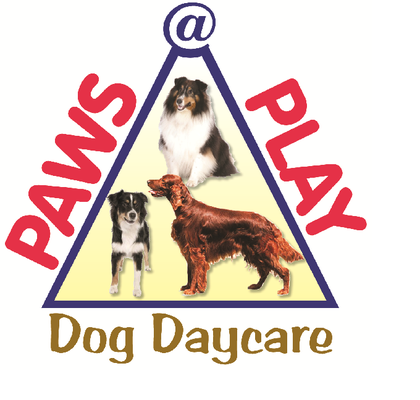 Paws at Play Dog Daycare