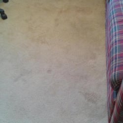 Klean Rite Carpet Upholstery Cleaning 16 Photos 14 Reviews Photo Of Klean Rite Carpet Upholstery Cleaning Northville Mi United States