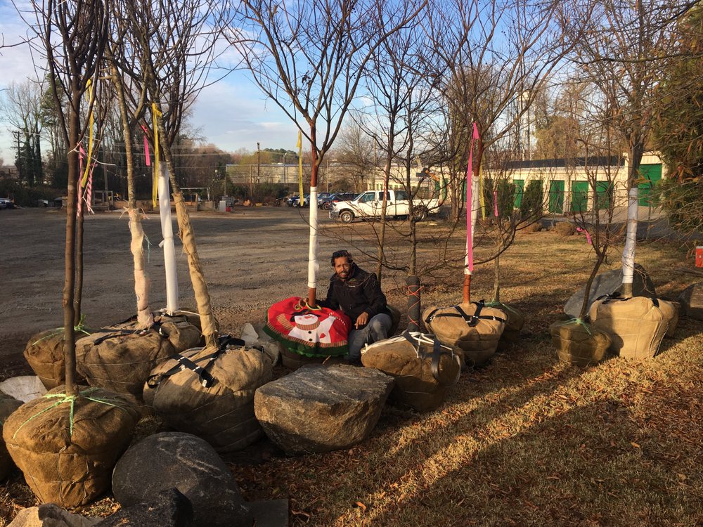 Heartwood Tree Service 41 Photos & 10 Reviews Tree Services