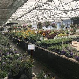 Huebner S Nursery Lawn Garden Center Nurseries Gardening 8 Photo Of Huebner S Nursery Lawn Garden Center North Platte Ne United States