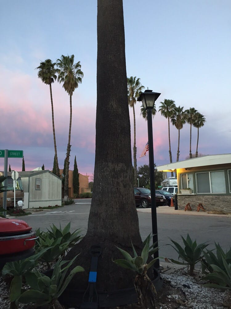Evergreen Rv Park 29 Reviews Parks 2135 N Oxnard Blvd Evergreen Rv Park 29 Reviews Parks 2135 N Oxnard Blvd Ca Phone Number Last Updated December 16 2018 Yelp