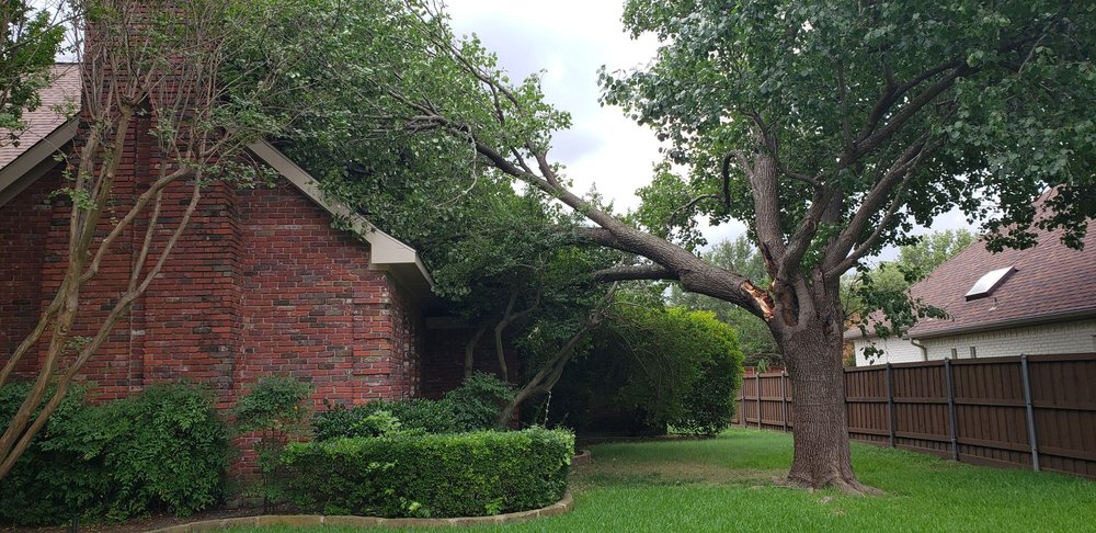 Parker Tree Service