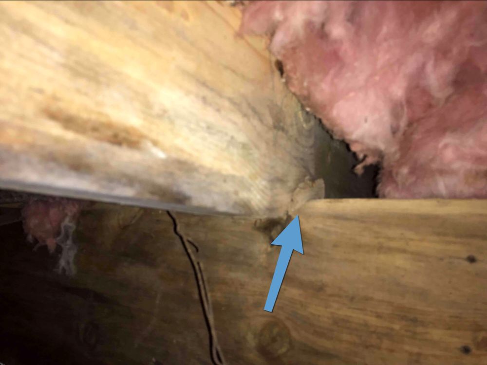 Best Choice Property Inspections