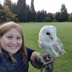 Dalhousie Falconry Archery Unit B704 Castle Hotel Photo Of Dalhousie Falconry Edinburgh Midlothian United Kingdom