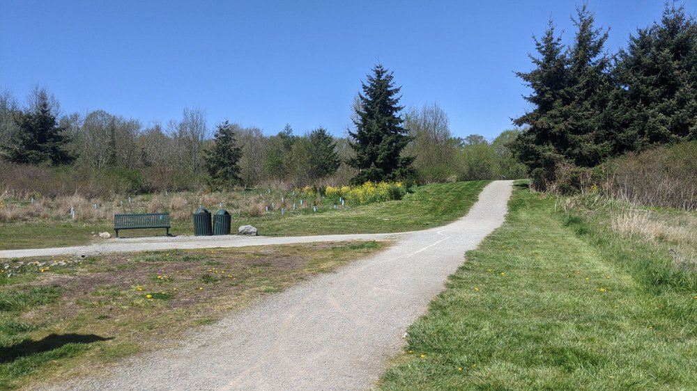 Port of Skagit County