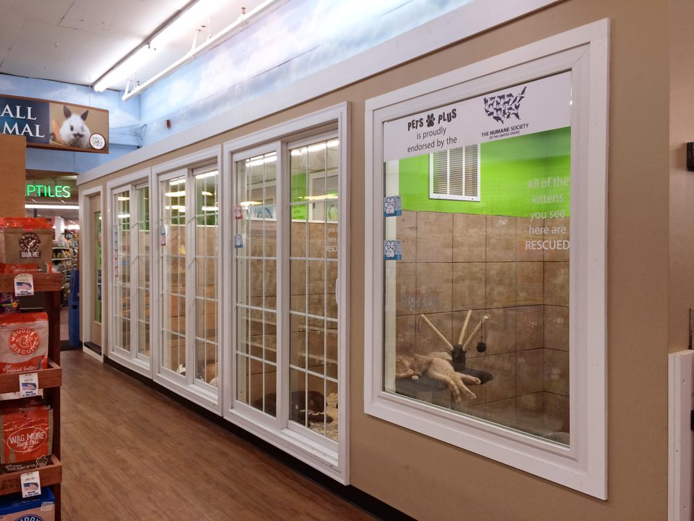 Pets Plus Natural 16 Photos & 17 Reviews Pet Stores 151 Lincoln