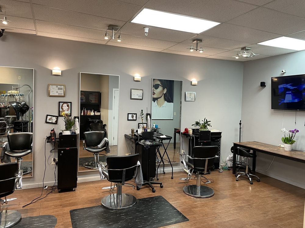 1 Salon 