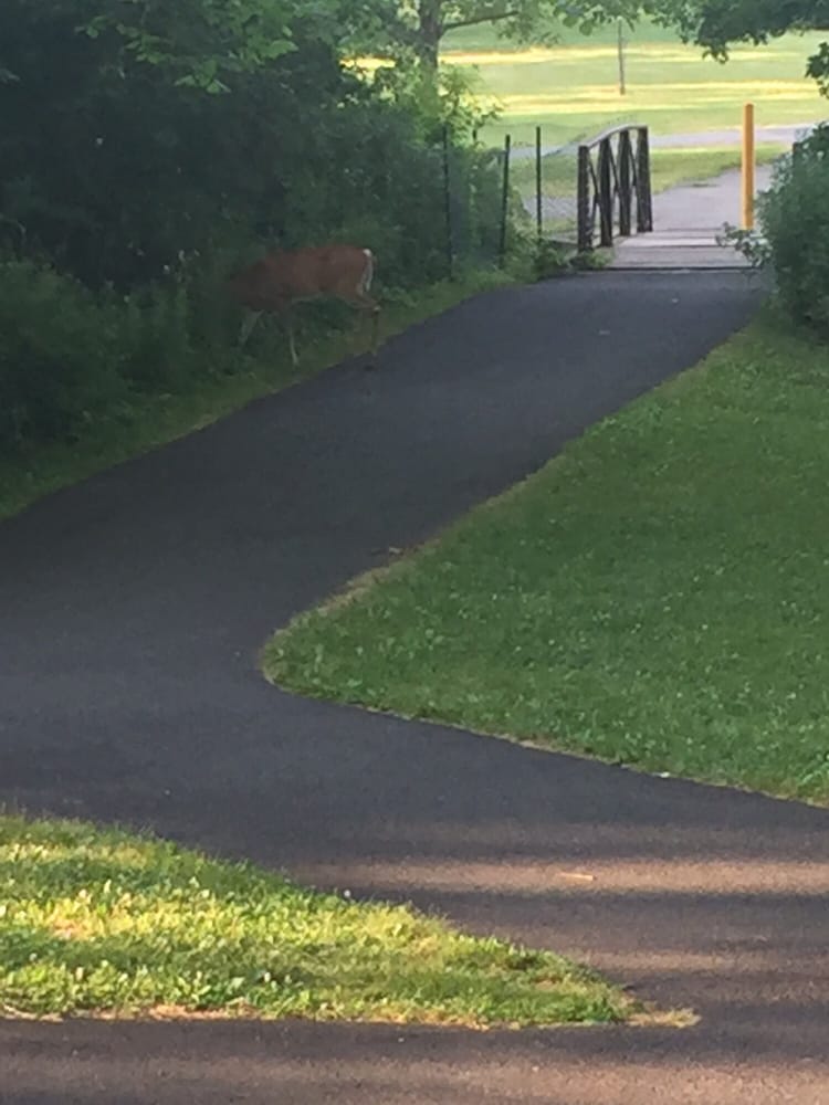 Bernards Twp Pleasant Valley Park 15 Photos Parks 3405 Valley Rd, Basking Ridge, NJ