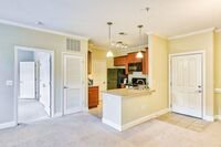 The Lofts At Reynolds Village