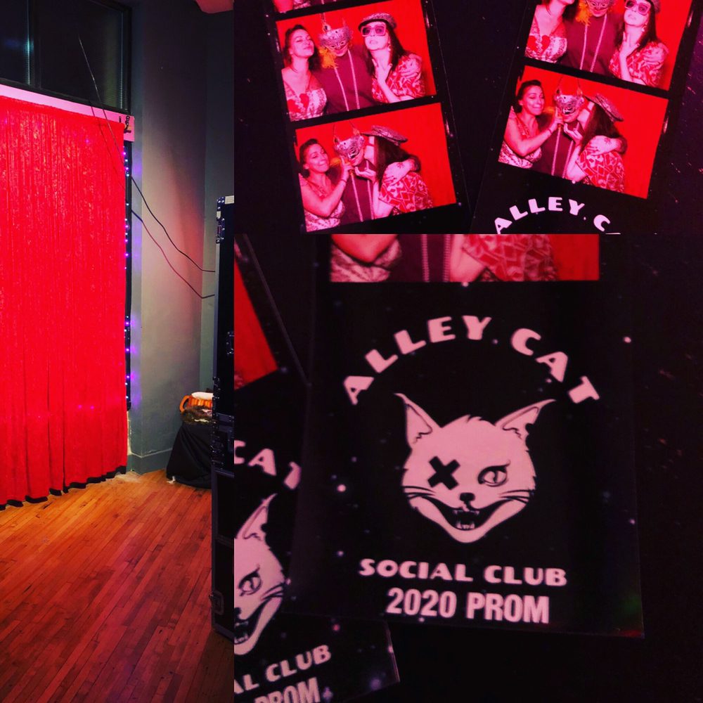 Alley Cat Social Club