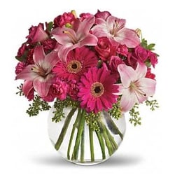 Photo Of Grace Flowers Pompano Beach Fl United States Pink And Fuscia Photo Of Grace Flowers Pompano Beach Fl United States Pink And Fuscia