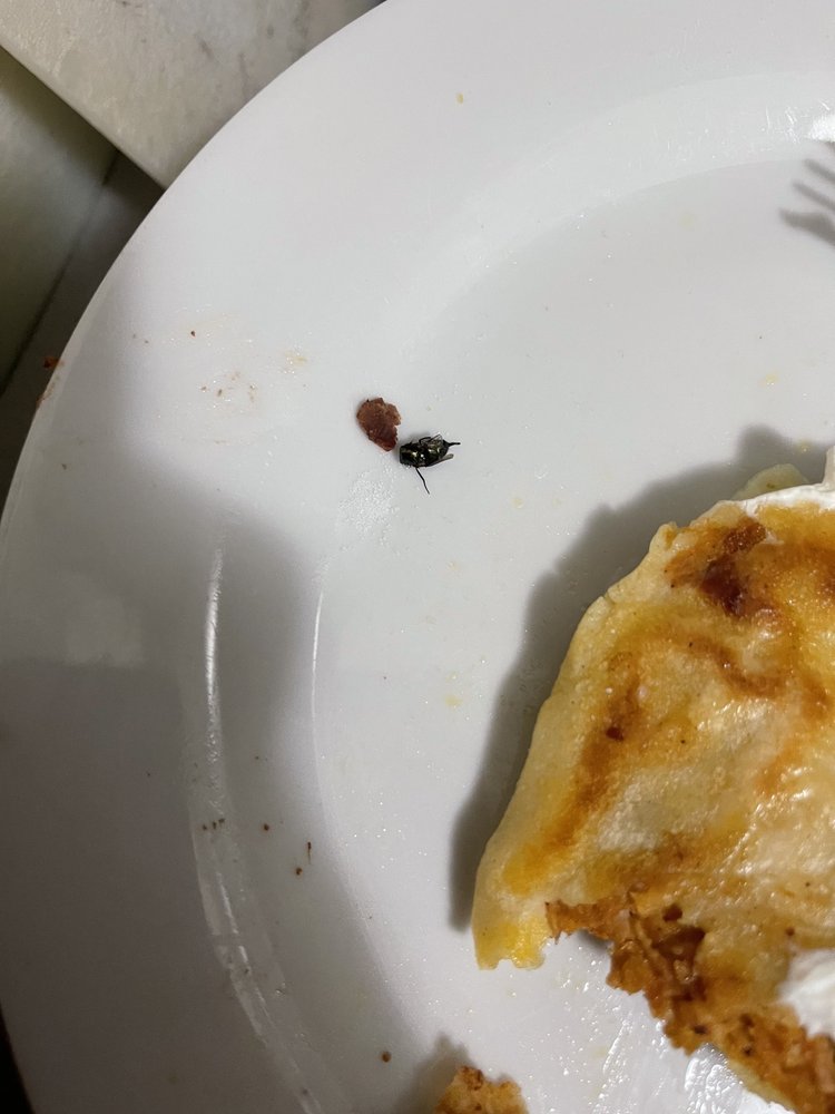 El Comal Pupuseria