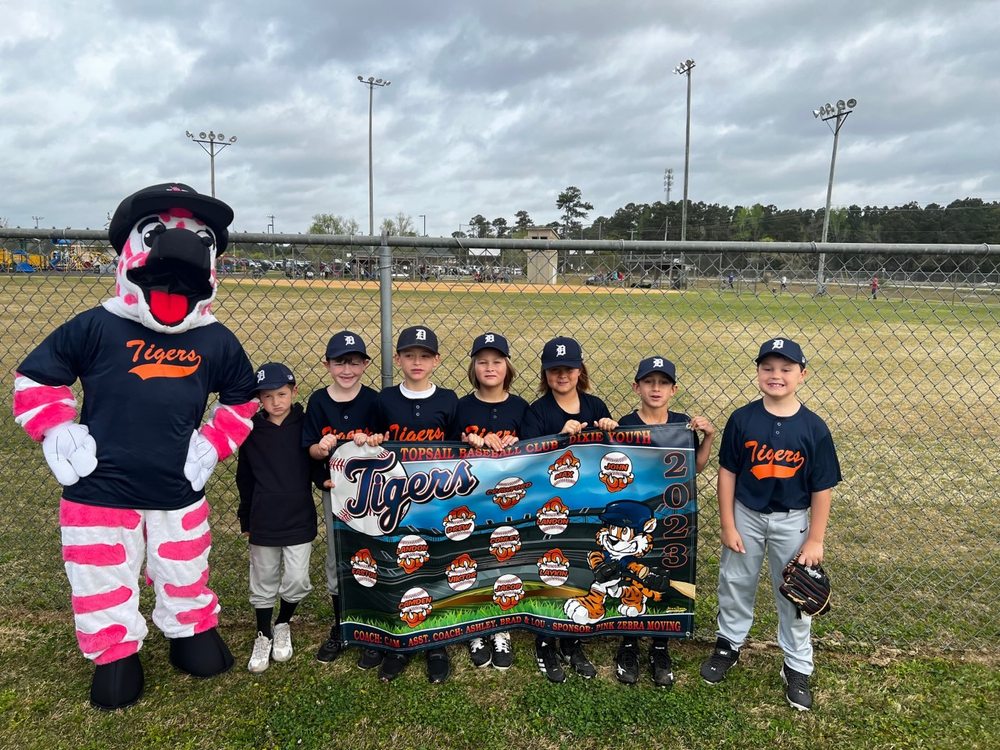 Pink Zebra Moving - Wilmington