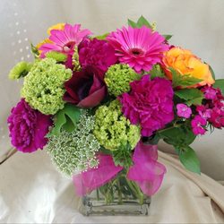 rainbow flowers 273 photos 127 reviews florists 1070