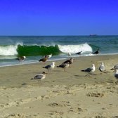 Strathmere Beach 31 Photos Beaches Teseh Ave Photo Of Strathmere Beach Nj United States Seagulls Like To Hang
