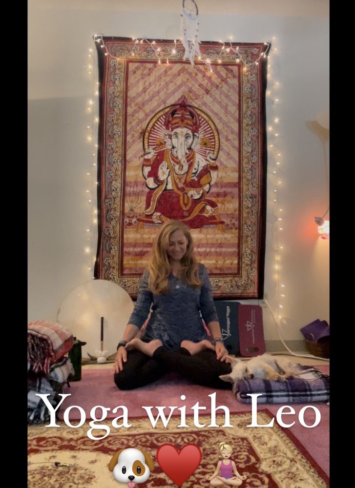 Yoga for Everybody
