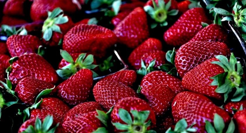 Vienna Farmers Market