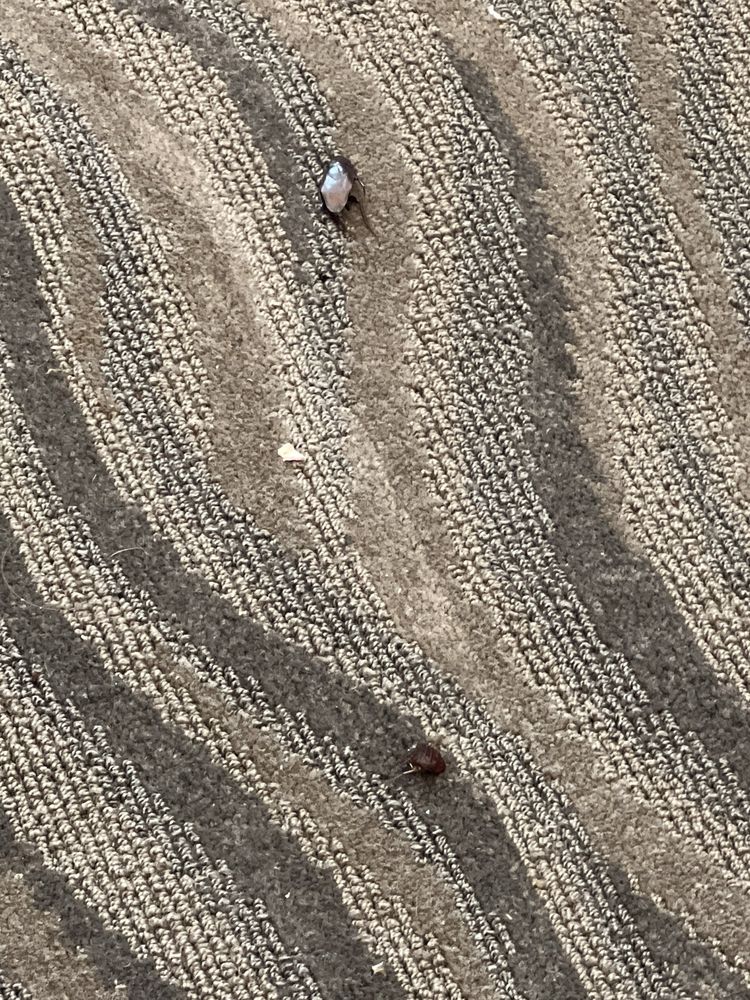 Bask Hotel at Brick Rock Landing