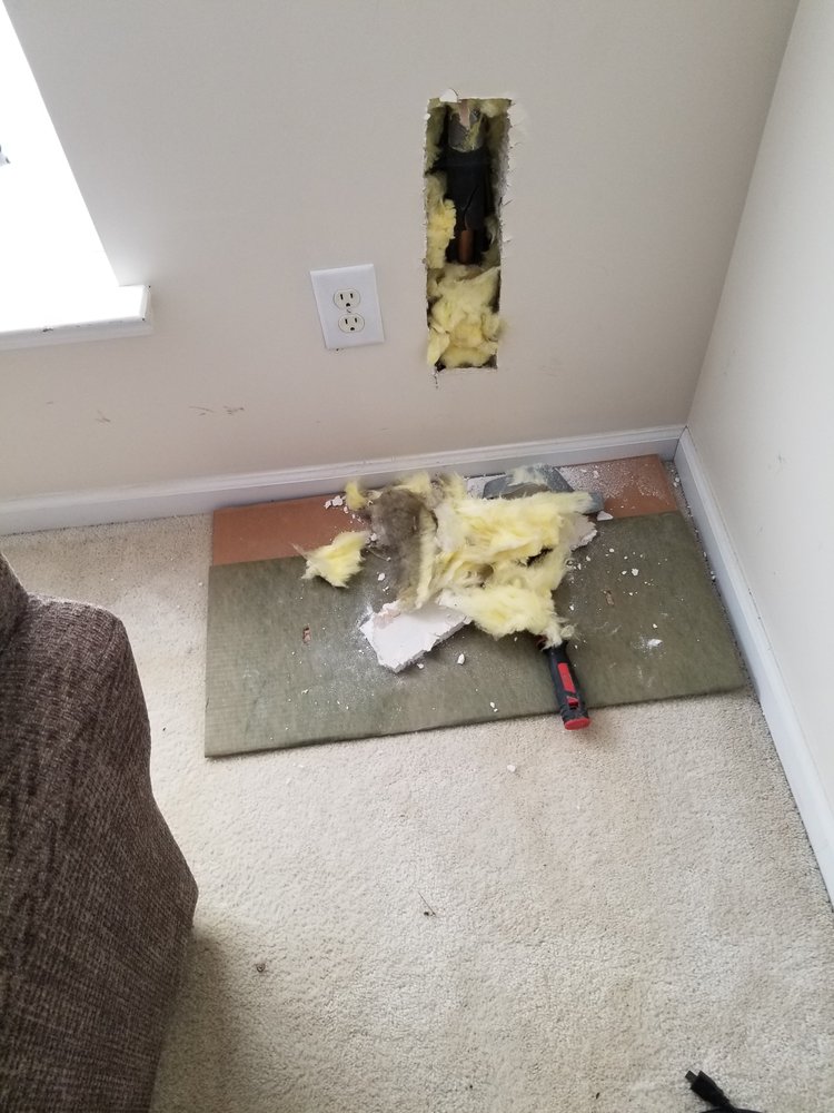 Caribbean System Services