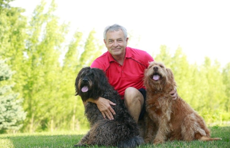 image of business Wade Family Dental