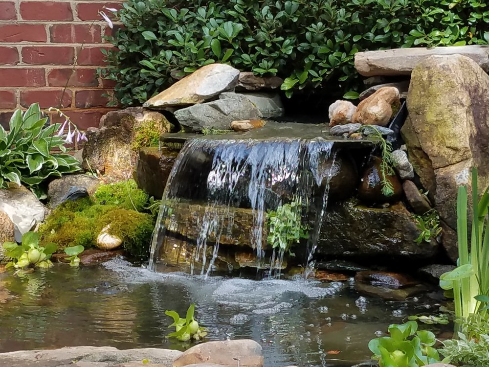 Springer Ponds and Water Gardens