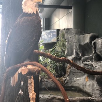 south carolina aquarium 651