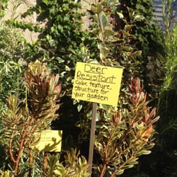 Sunnyside Nursery Closed 23 Reviews Nurseries Gardening Photo Of Sunnyside Nursery San Anselmo Ca United States