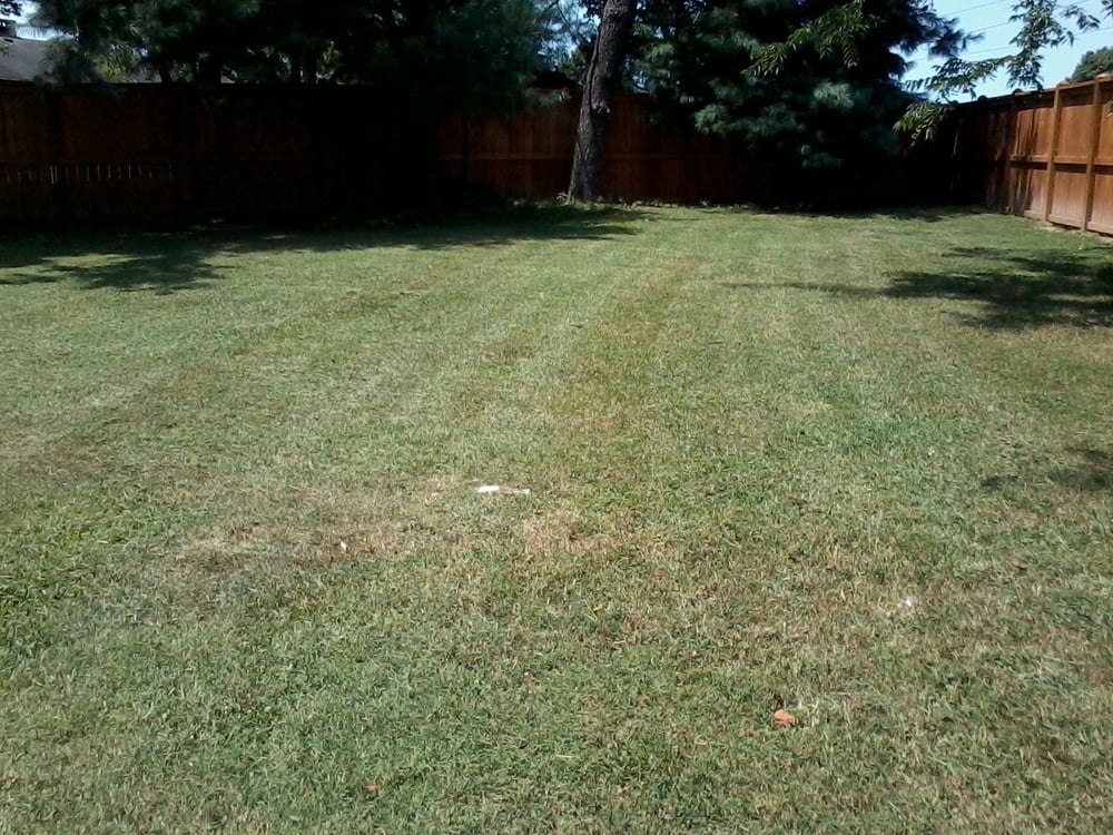 Martin's Mowing