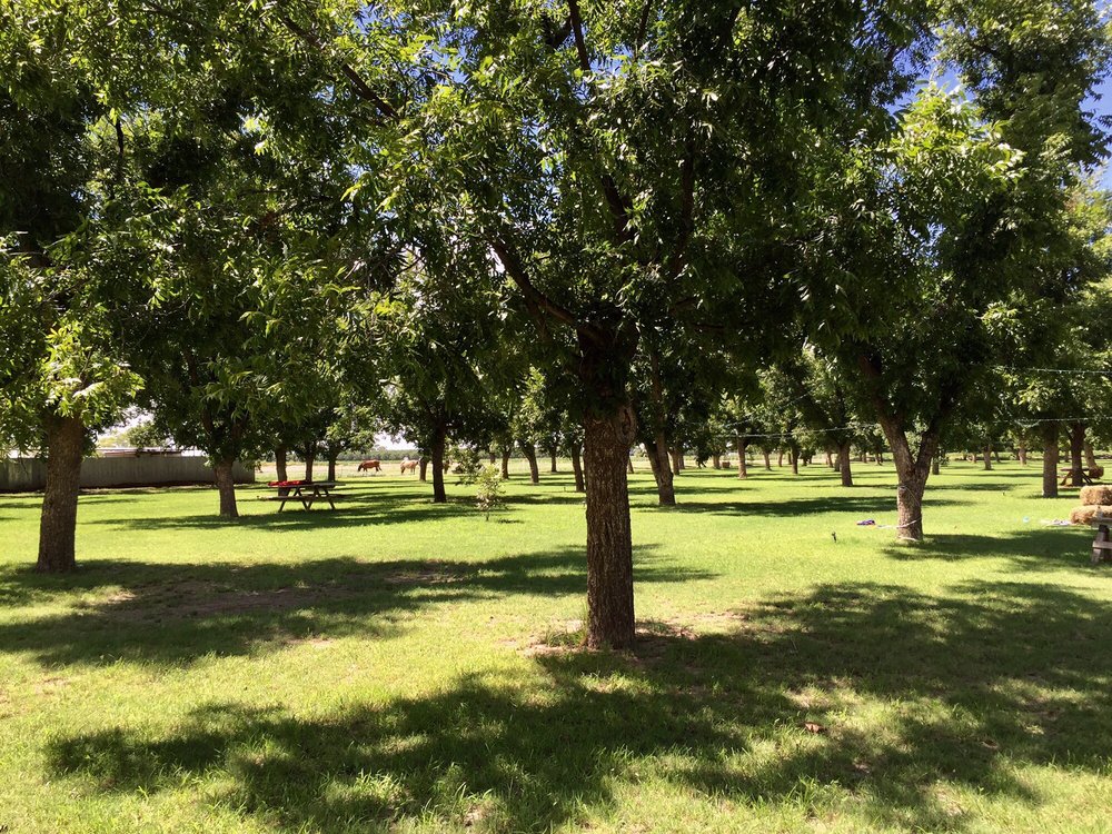 Ramirez Pecan Farms