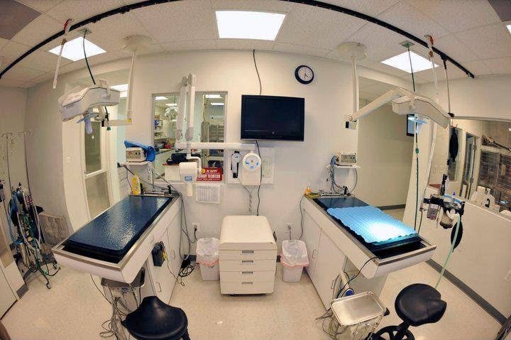 VCA Centreville Animal Hospital