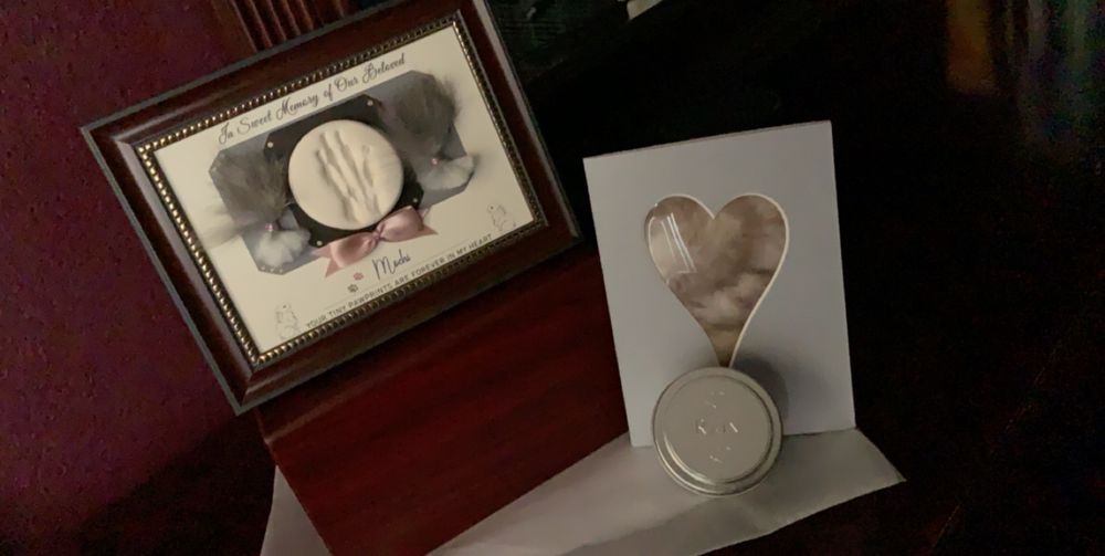 1st call pet cremation