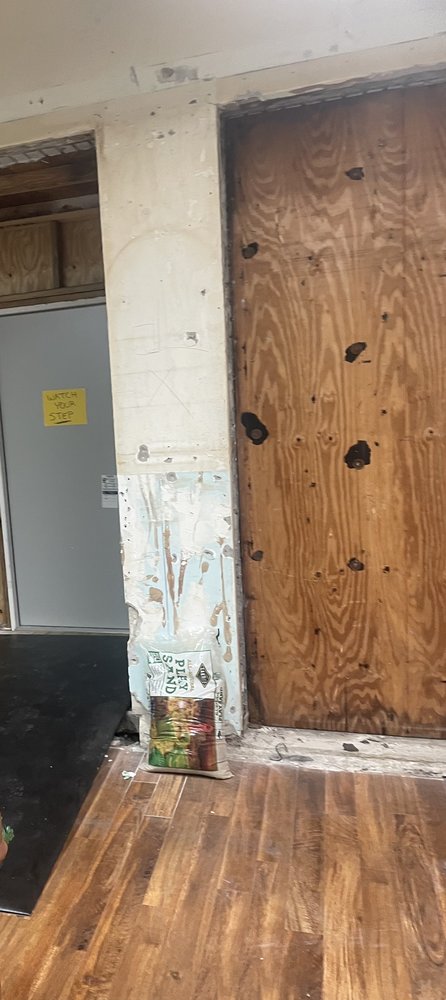 image of business St Petersburg Pediatrics