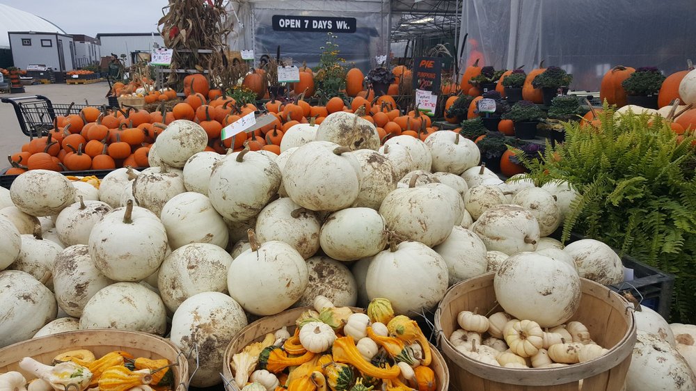 19th Avenue Farmers Market