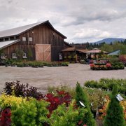 New Leaf Nursery Landscaping 12655 N Government Way Hayden Id Photo Of New Leaf Nursery Hayden Id United States
