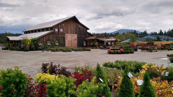 New Leaf Nursery 12655 N Government Way Hayden Id New Leaf Nursery 12655 N Government Way Hayden Id