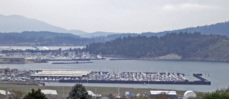 image of business Anacortes Marina Enterprises