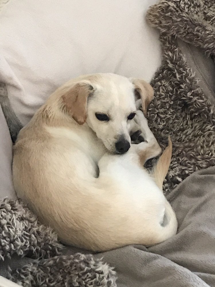 Pet Food Express 18 Photos & 69 Reviews Pet Stores 5829 Lone Tree